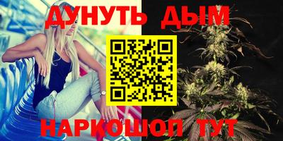 мяу мяу мука Владикавказ