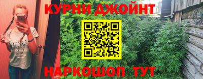 мяу мяу мука Владикавказ