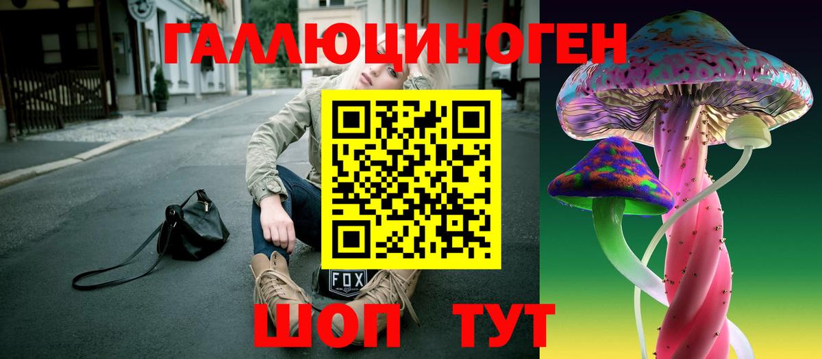 Выборг  Галлюциногенные грибы мицелий  Псилоцибиновые грибы Psilocybine cubensis  Вход с VPN 