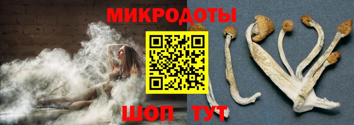 Псилоцибиновые грибы GOLDEN TEACHER Выборг